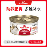 皇家成年期全价猫粮湿粮(慕斯肉泥) ILC 85g